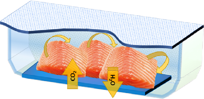 بسته بندی مرغ در اتمسفر اصلاح شده (MAP)