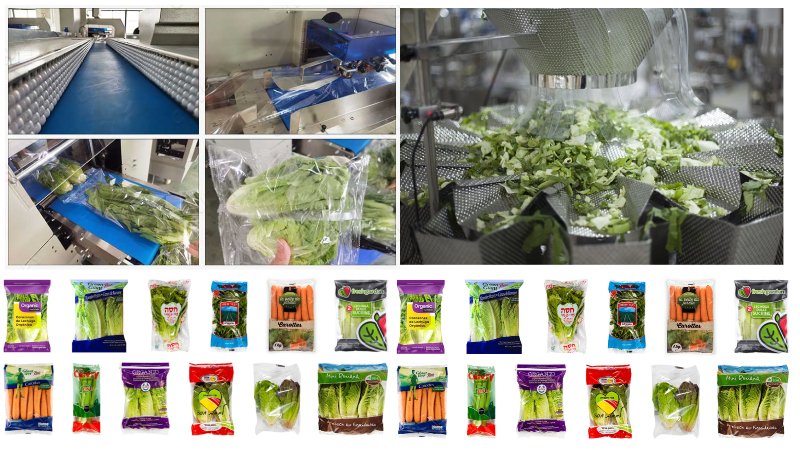 خط تولید بسته بندی سبزیجات تازه